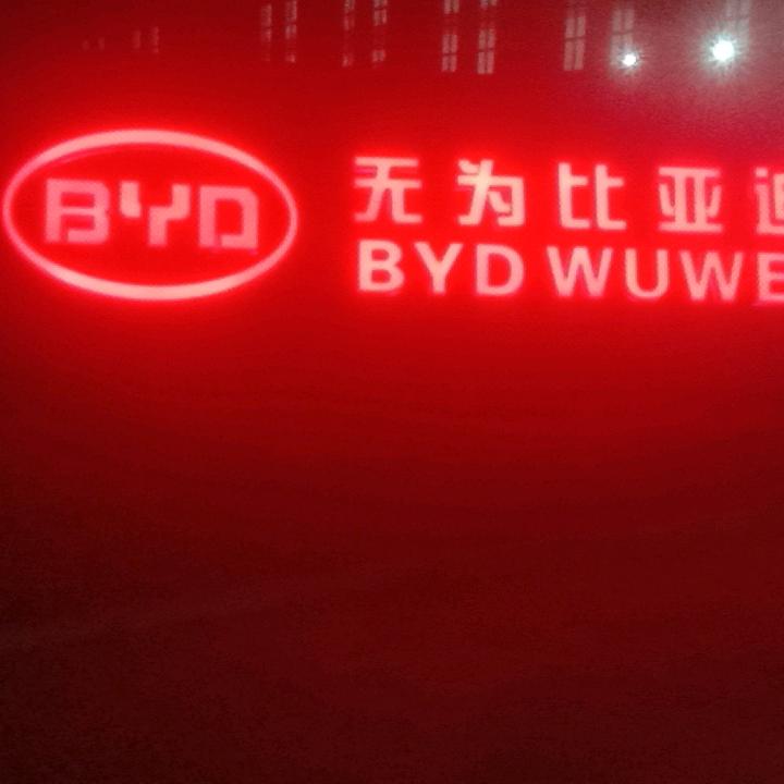 情有独钟