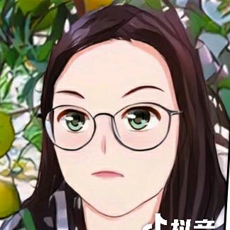 新会梅江陈皮（陈）