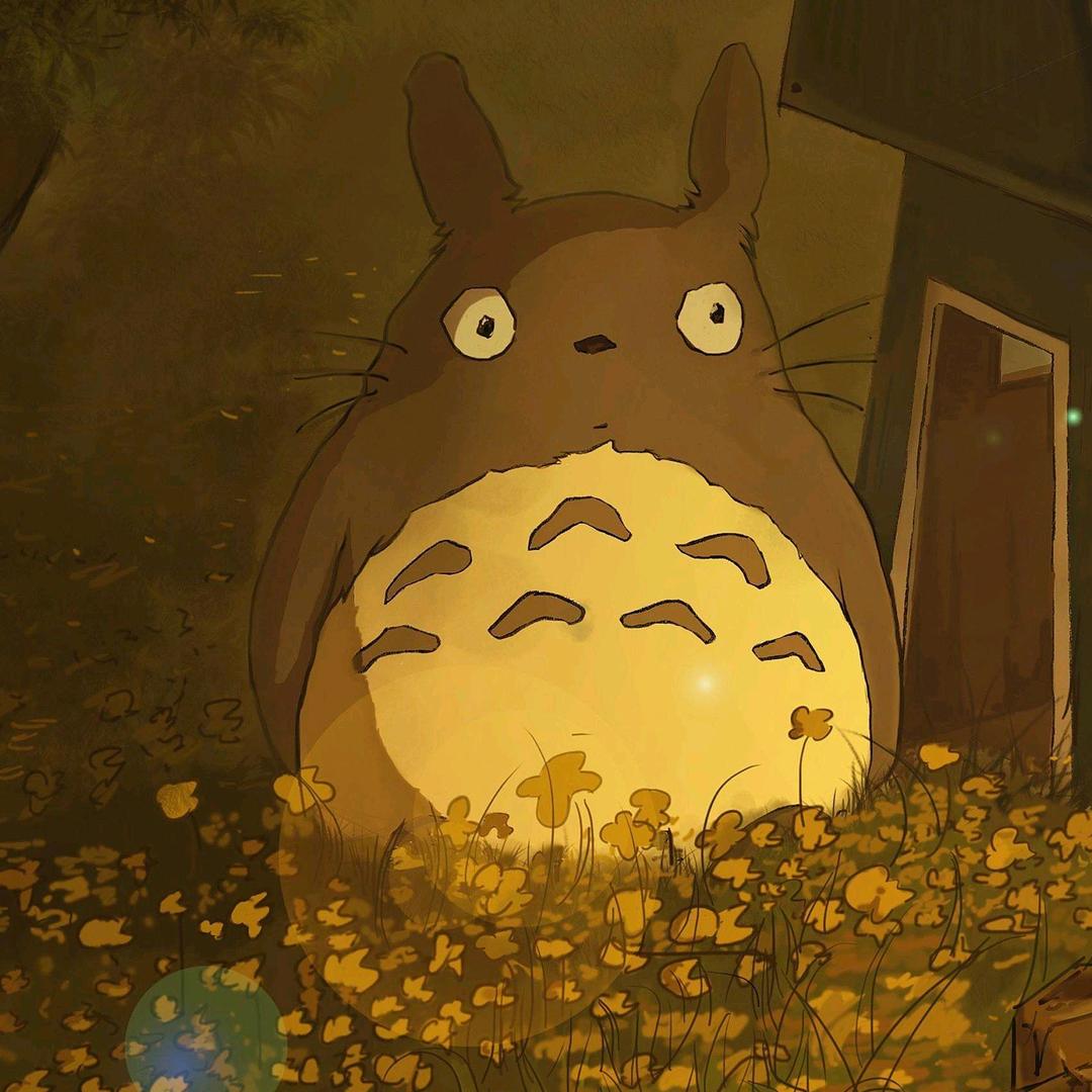不要摸猪