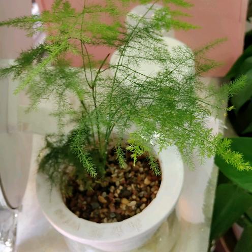 蓦然造型