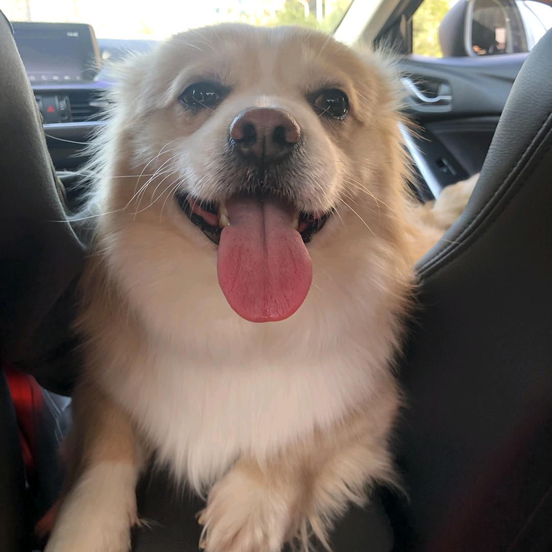 扬扬扬扬扬扬扬扬扬