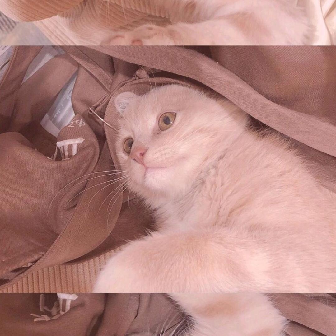 不想挤痘痘