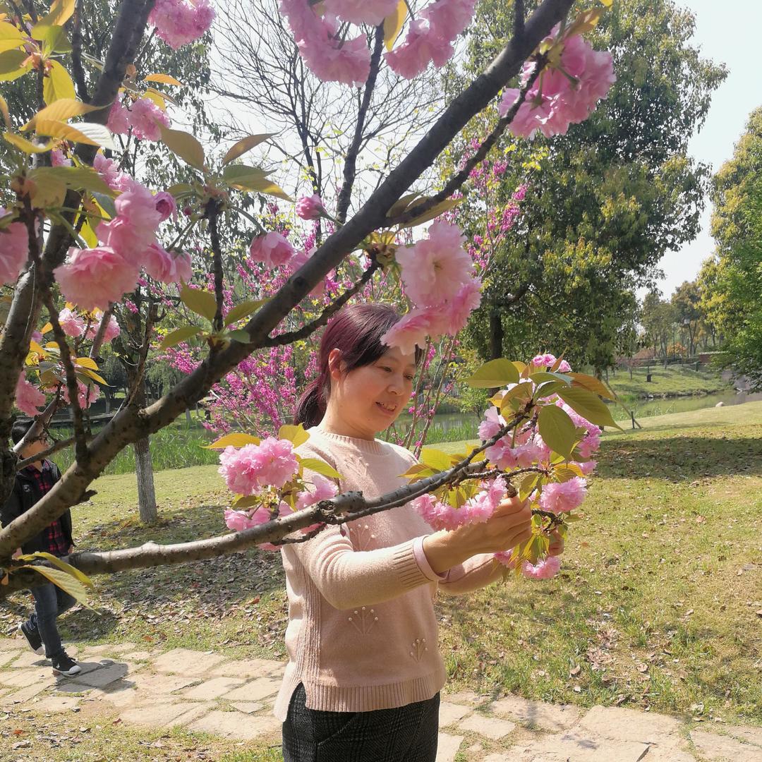 菊姐