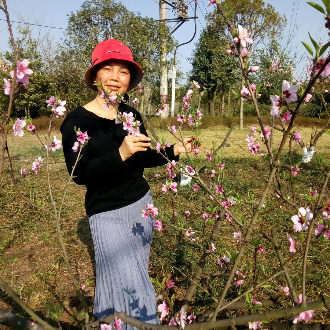 杨华