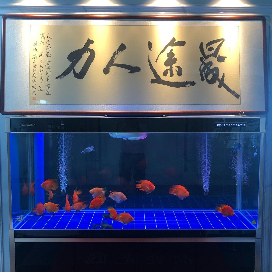 孝哥
