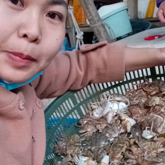 琴姐海鲜优选