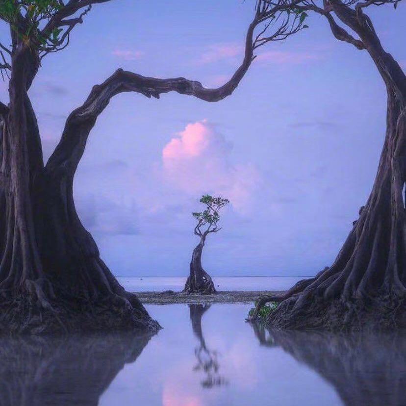 上海滩
