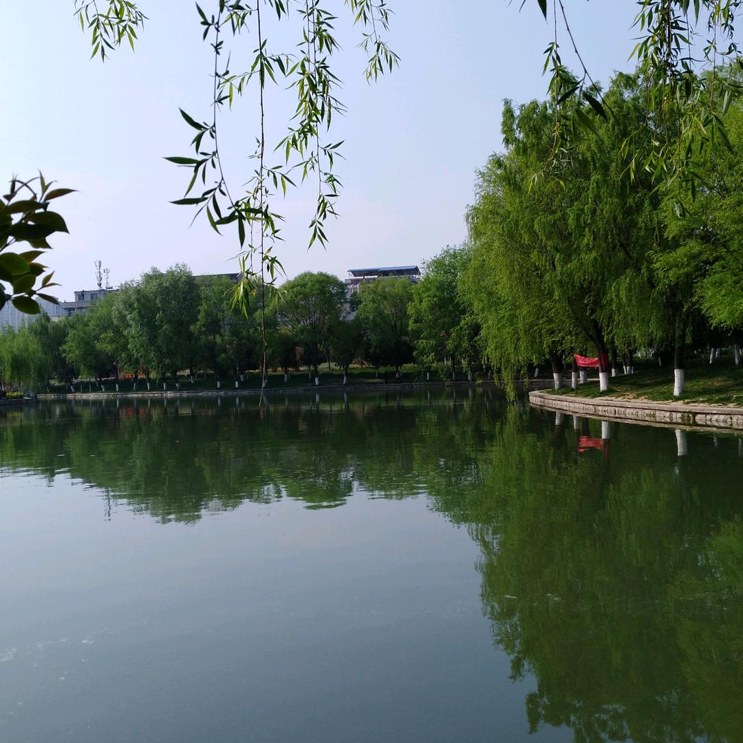 如梦令