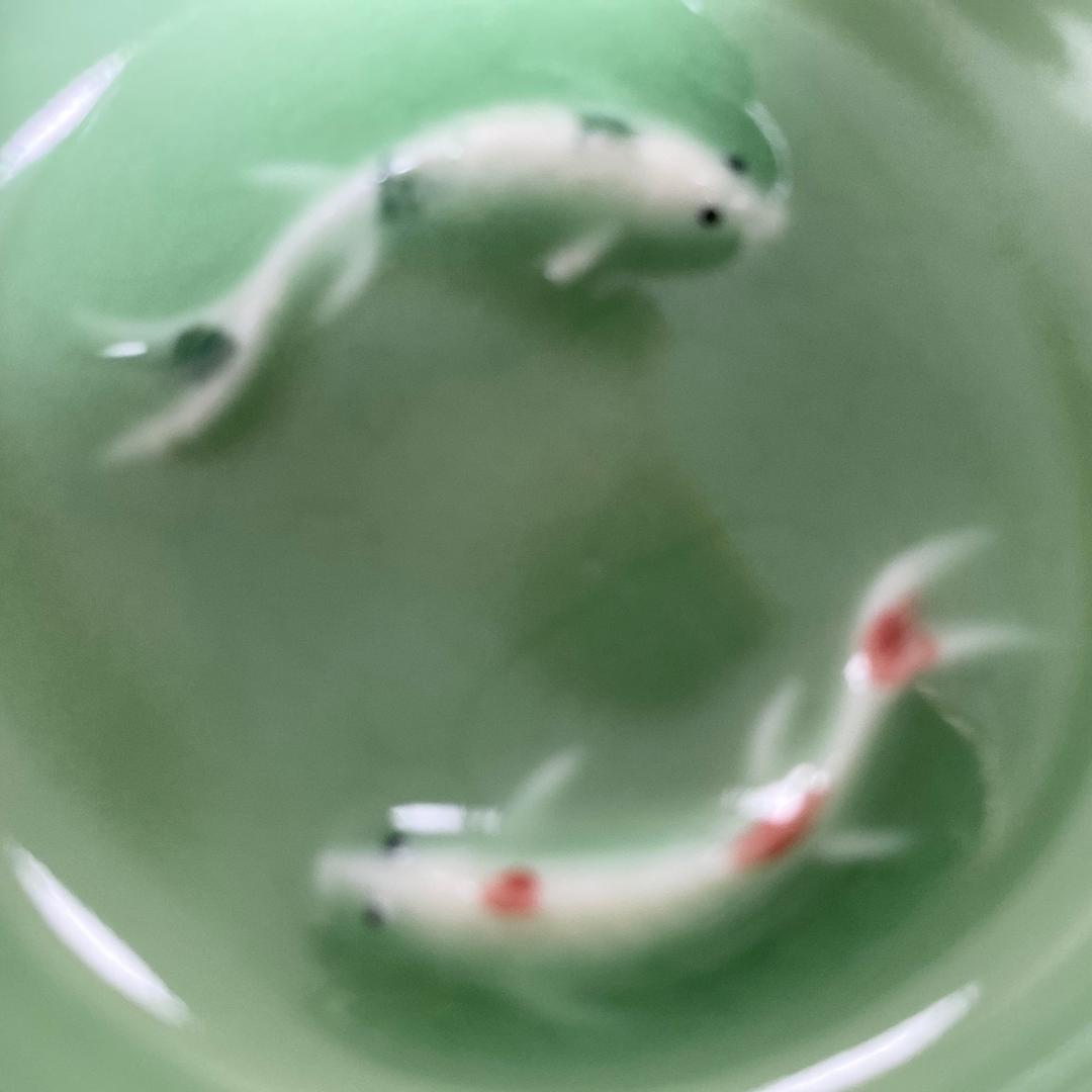 詹詹各类好物分享