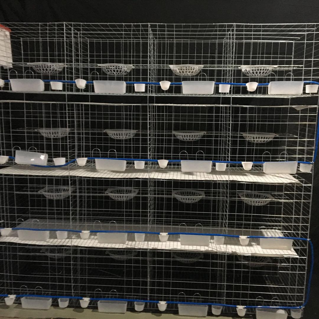 安平县荣尚养殖笼具厂