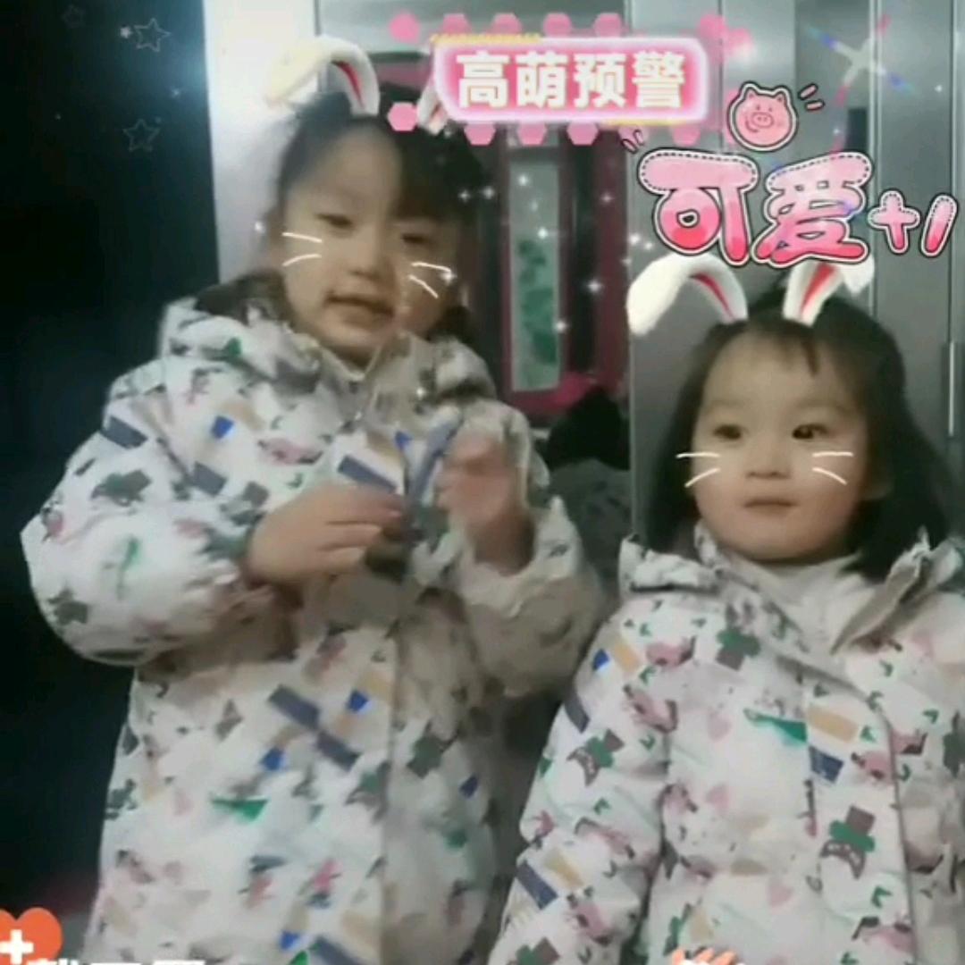 王家老七🌺