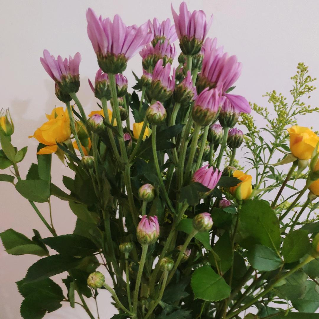 ℳ₯㎕張᭱ꦿএ