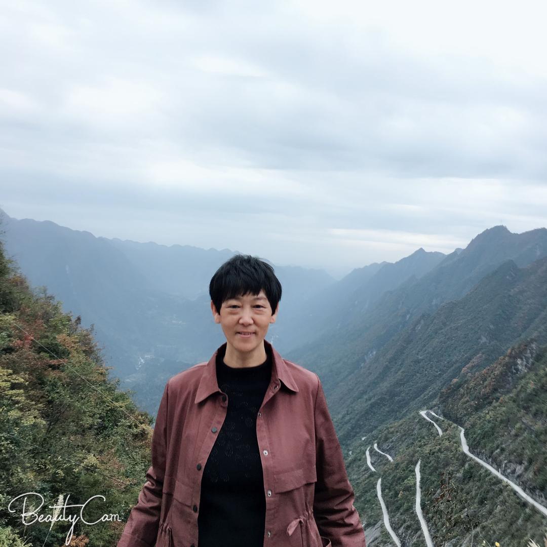 鸿雁