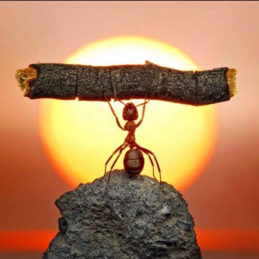 抖音名字不要太长