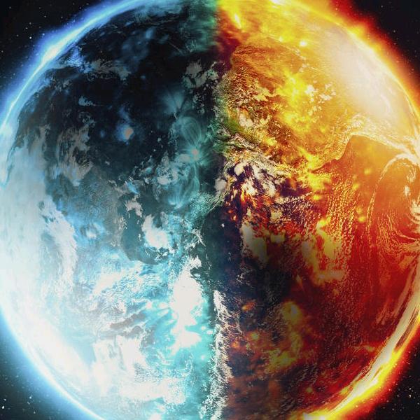 凤栖梧桐