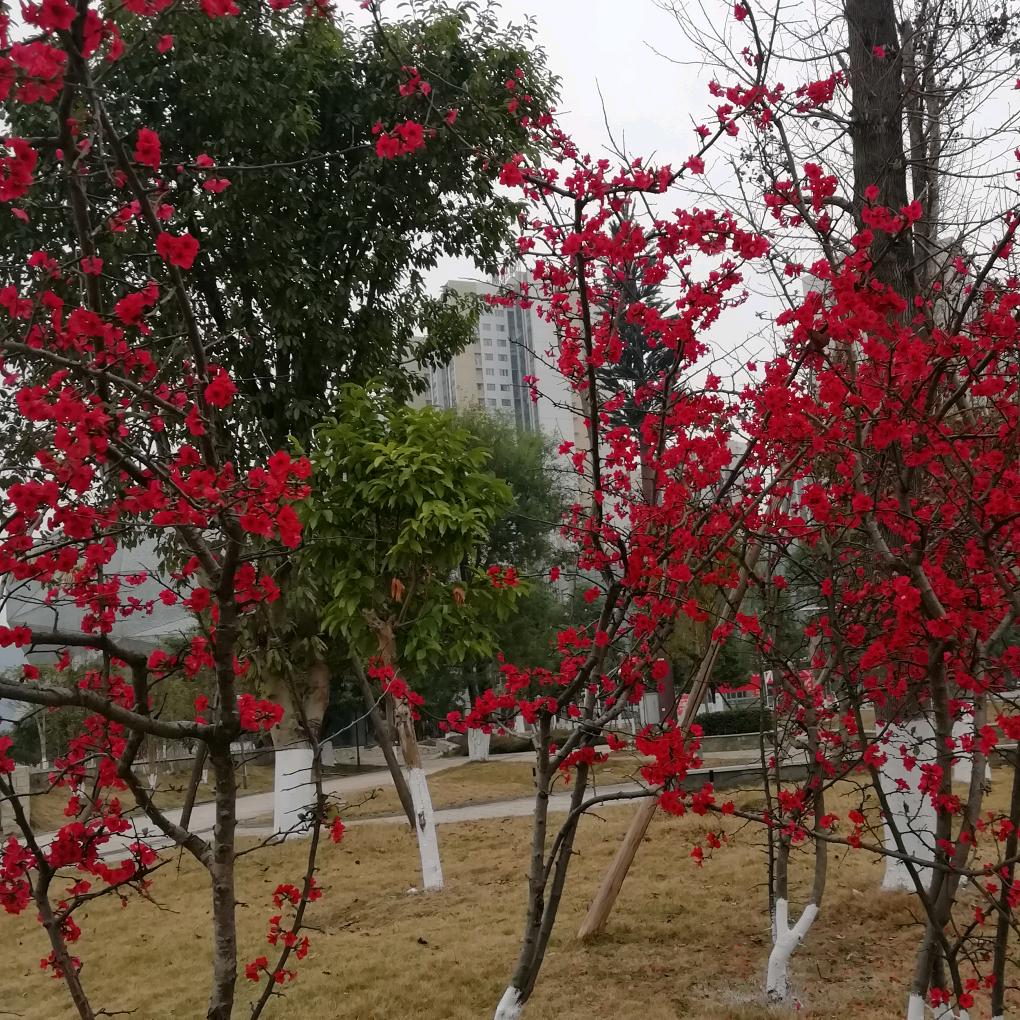 明天更美好