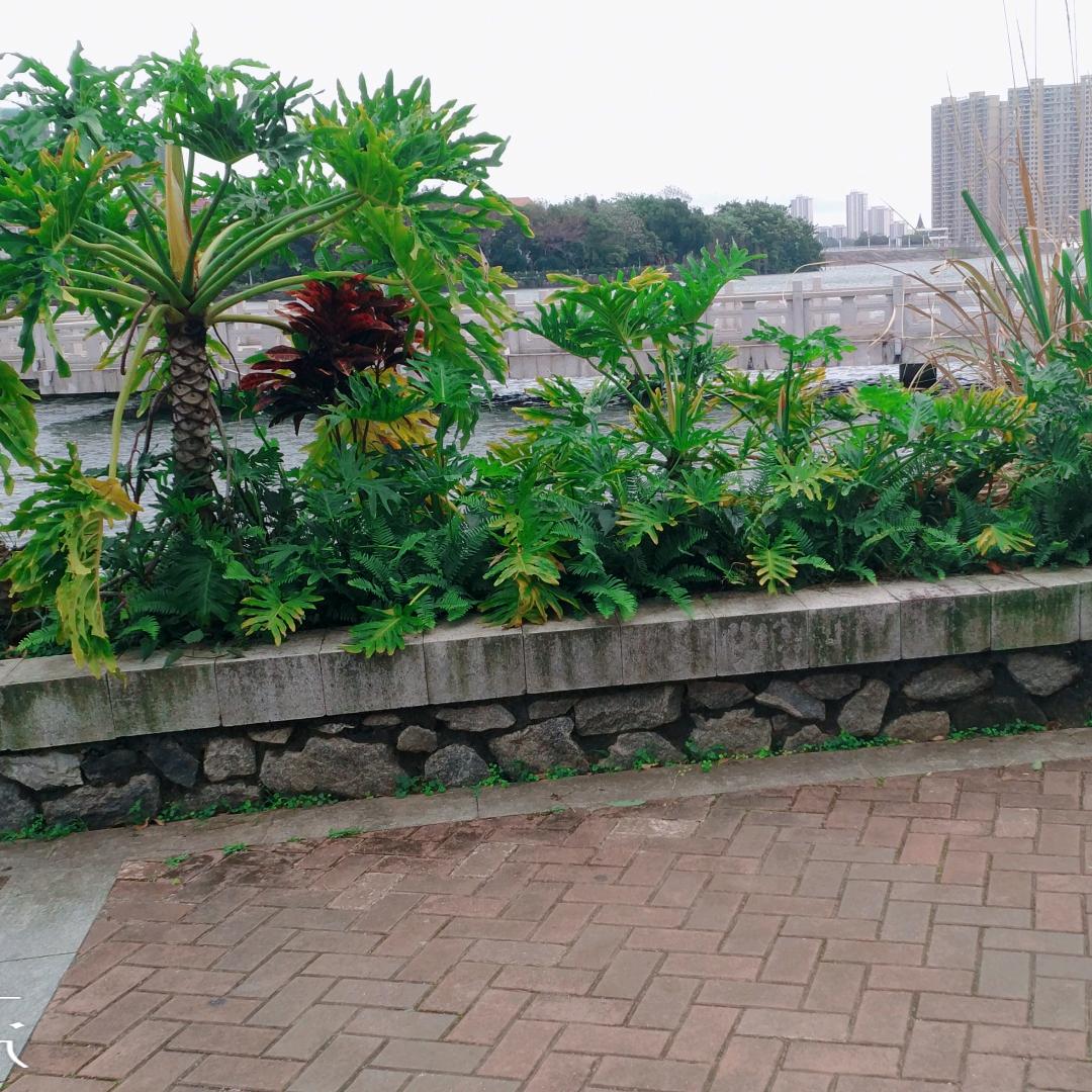 冰封一生《好物在橱窗》