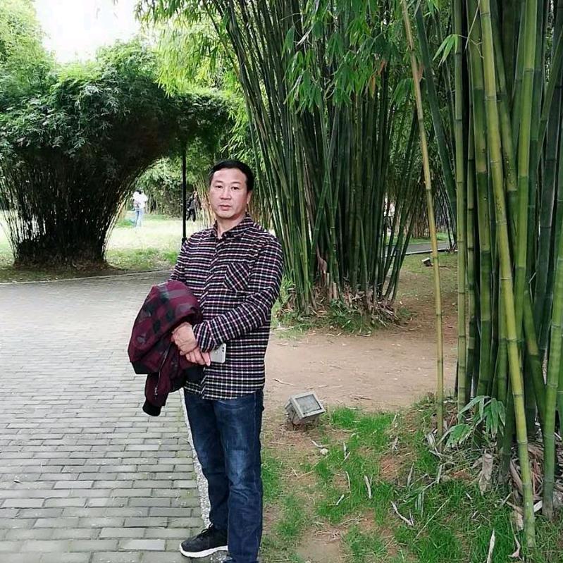 温柔的风