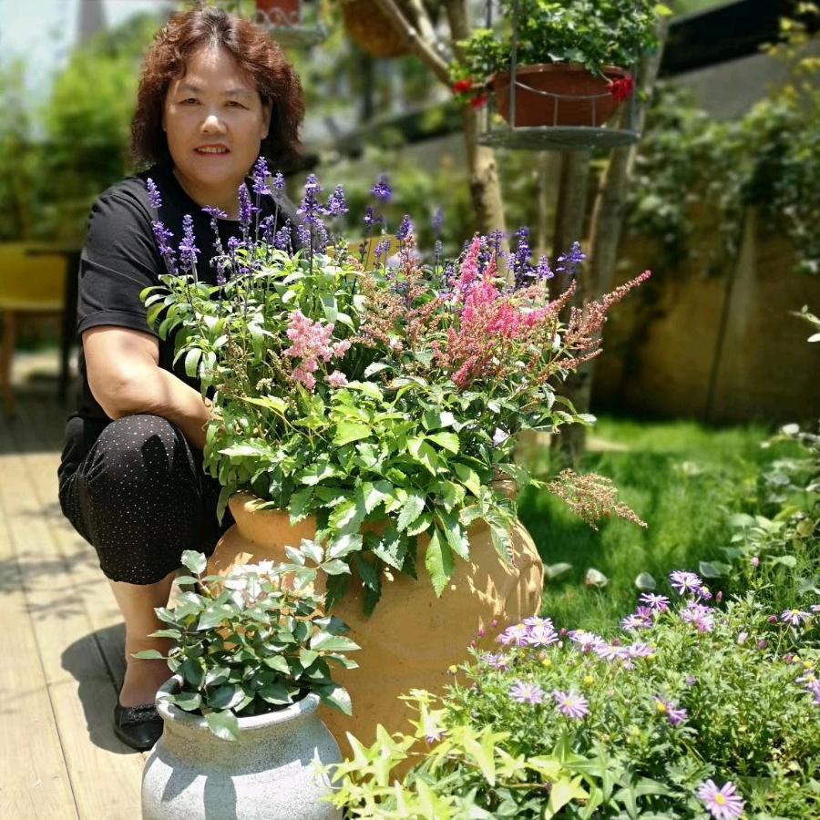 李菊
