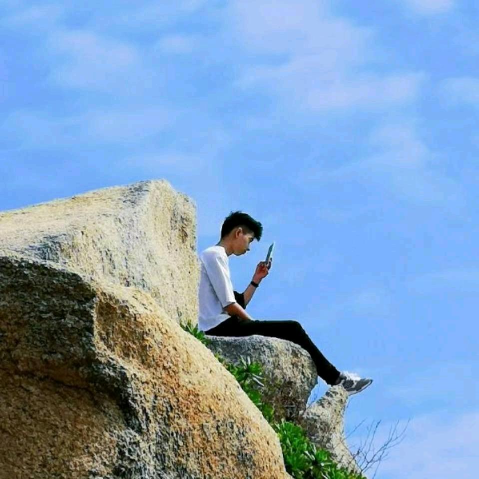 仁慈的狮子