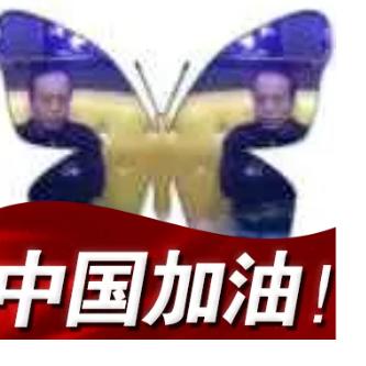 雨哥