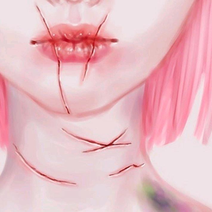 -茧蝶`