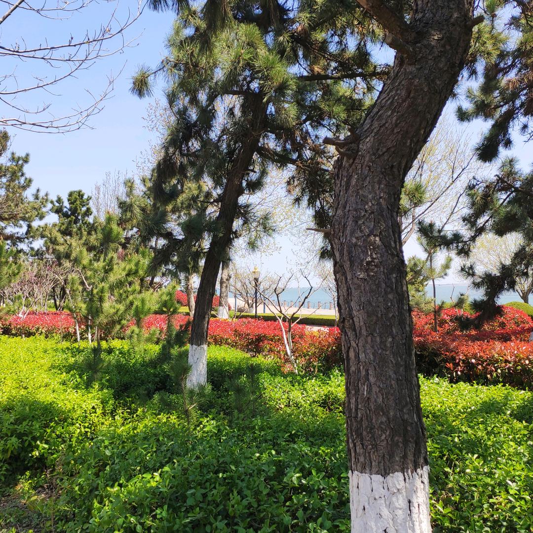 风有多快