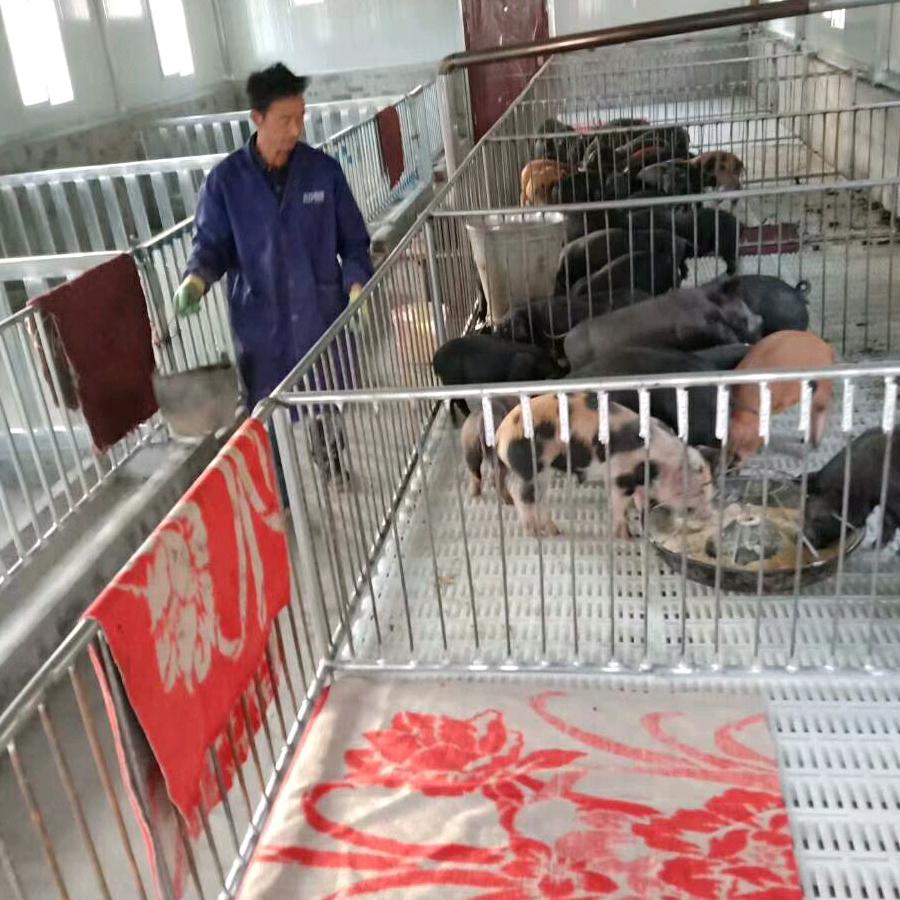嘉安生态种猪农场