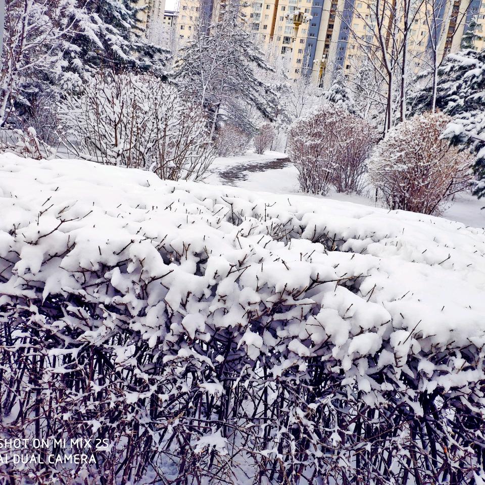 楠难（研一版）