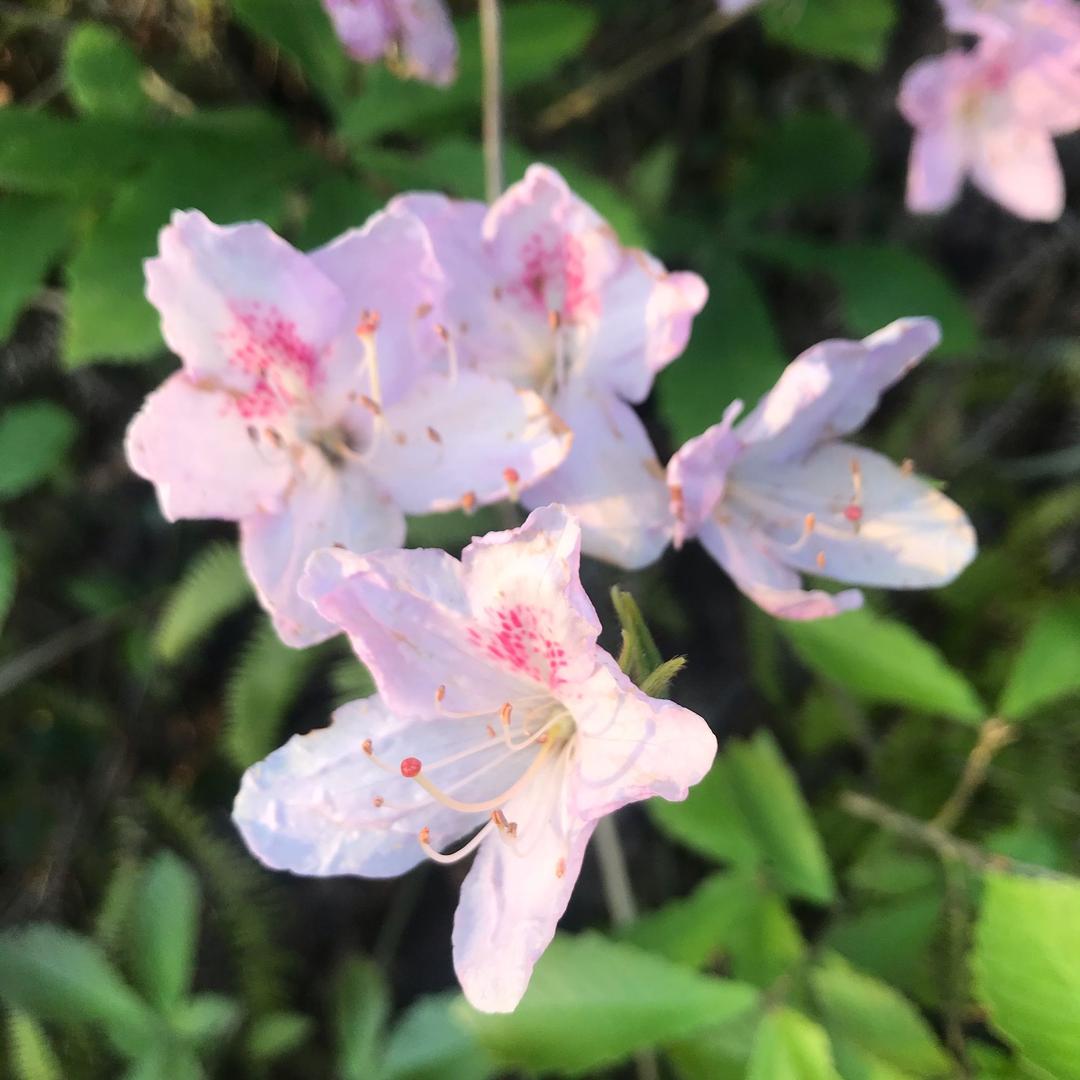 醉美山川