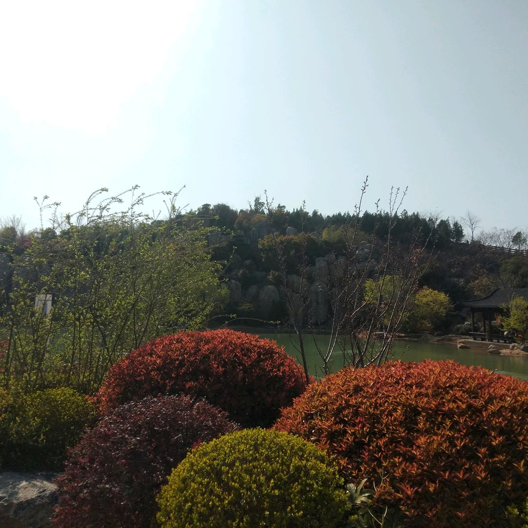 风