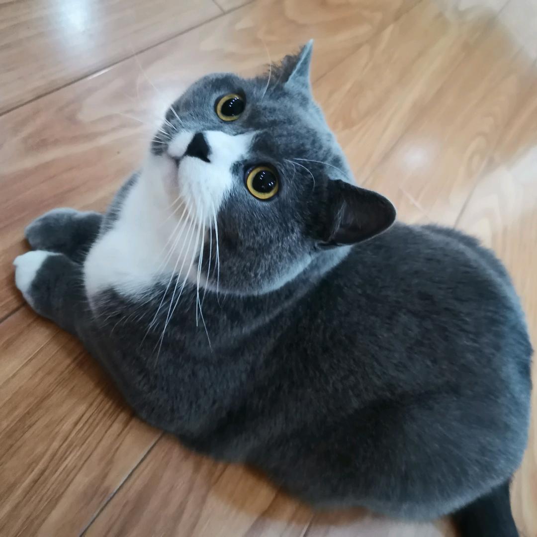未来可期