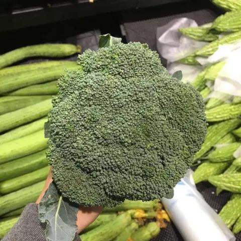 西兰花