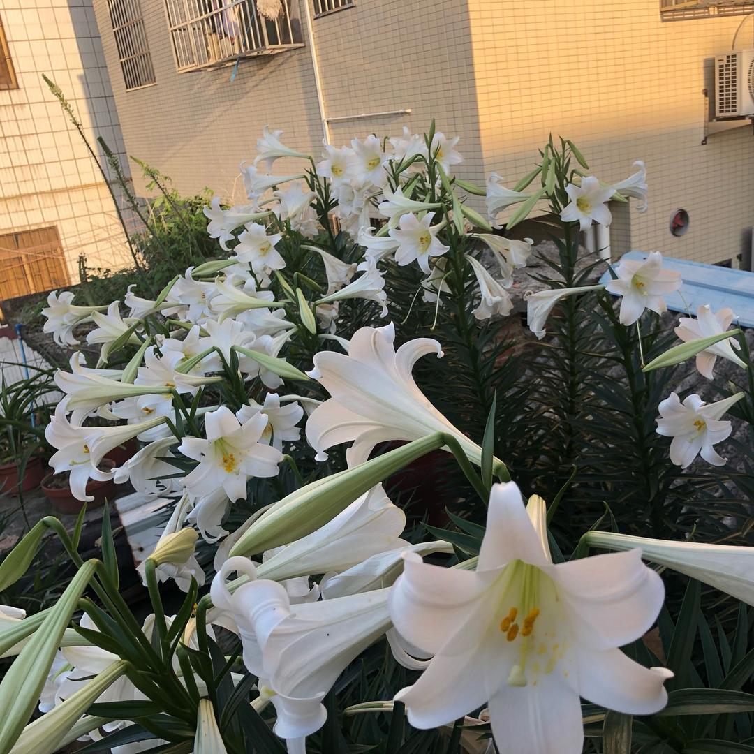 ღ᭄💞 我会等໑ຼ₀₂₃💕