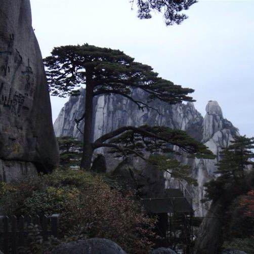 江湖成哥
