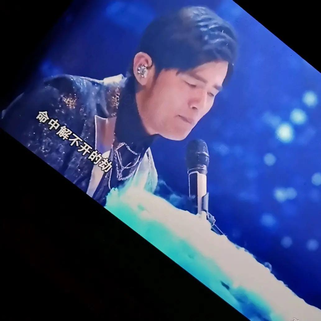 白天不懂夜的黑