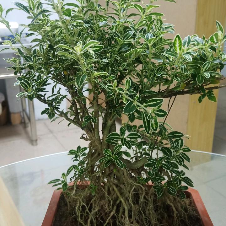 往事归零