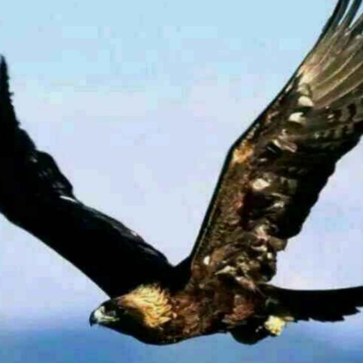 阳光总在风雨后123