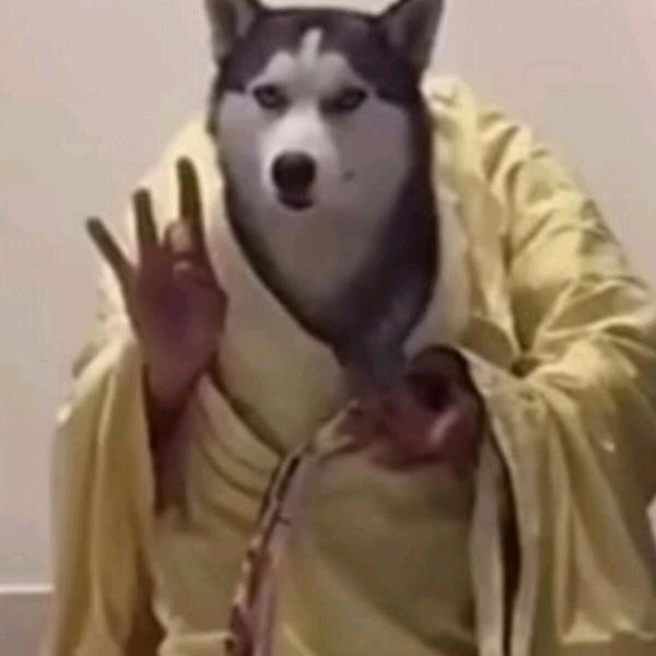 。。。。。。。。。