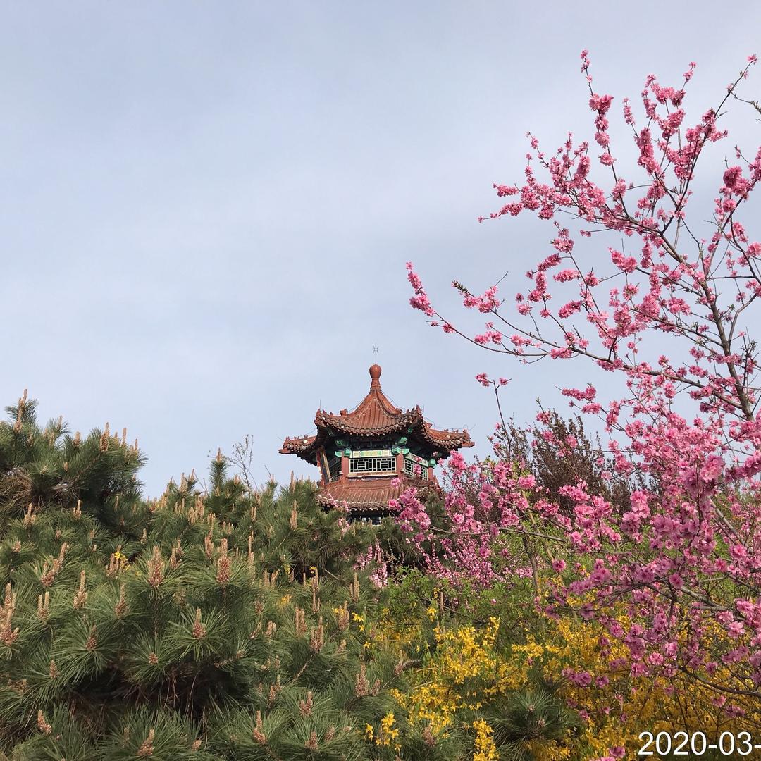 大地飞歌