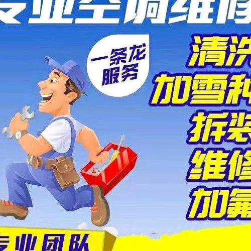 会飞的鱼