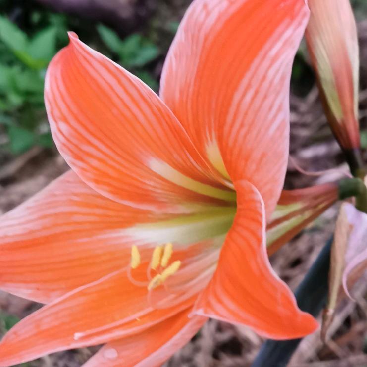 四季逗用户720509961790