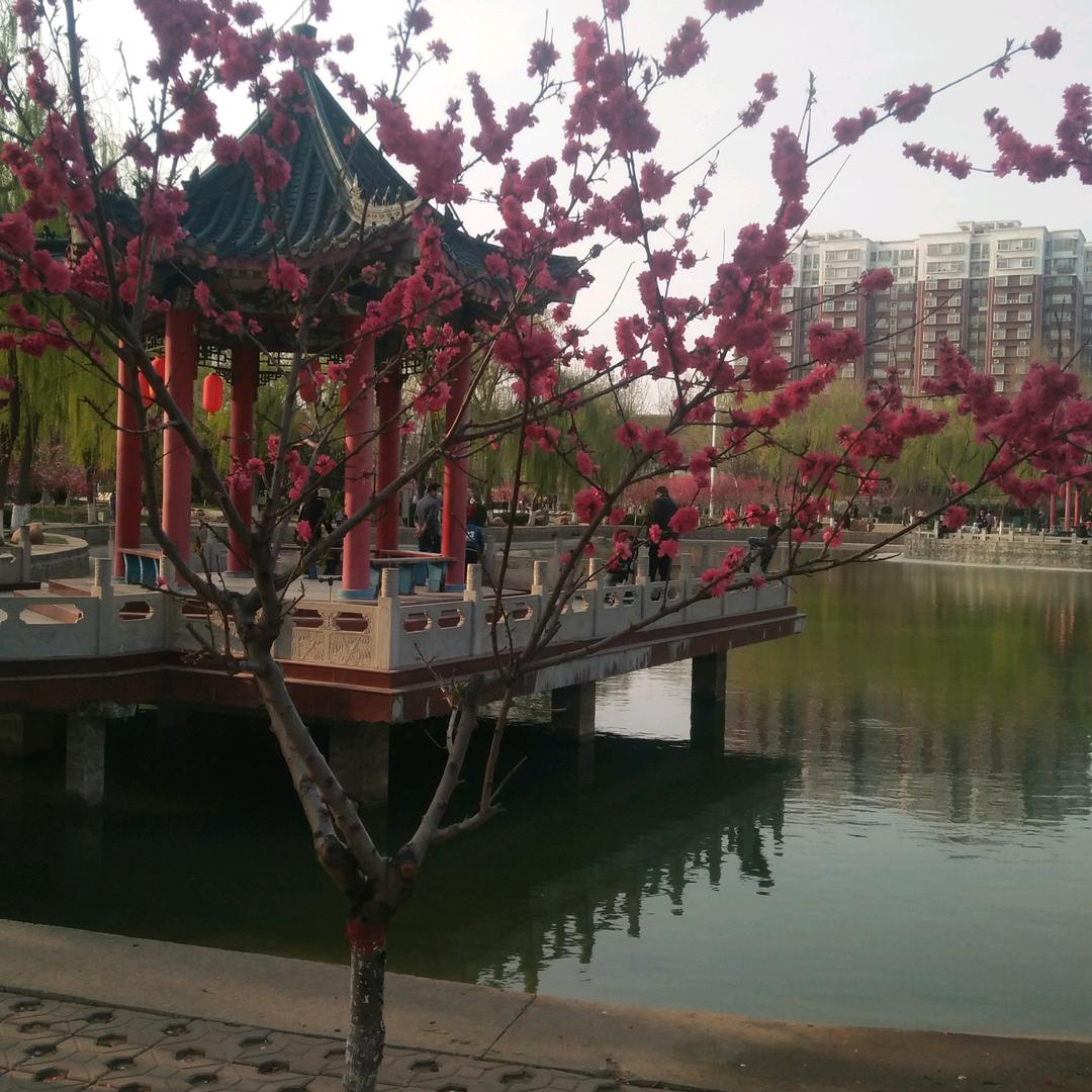 秋芳爆米花