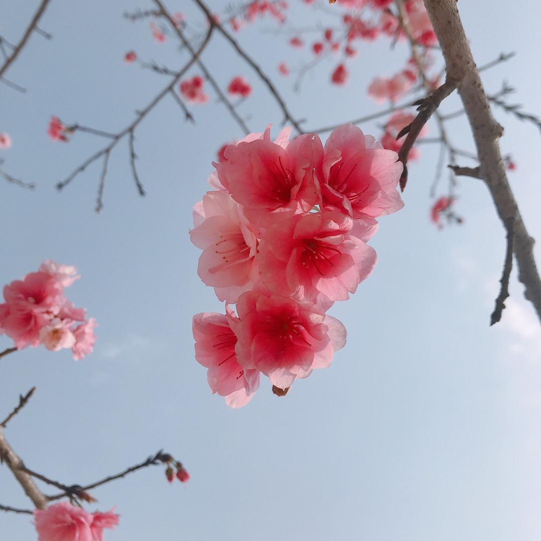 李老师(途安驾校)