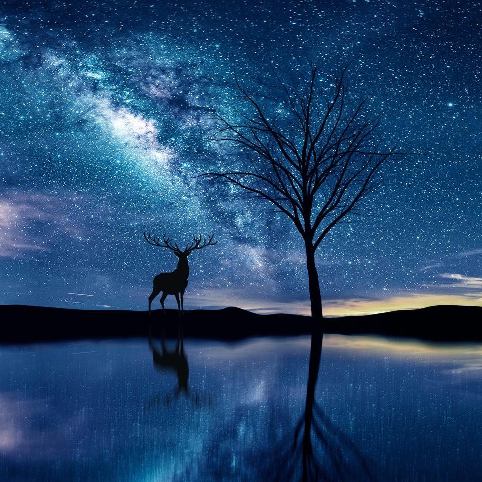 大水怪台球俱乐部.