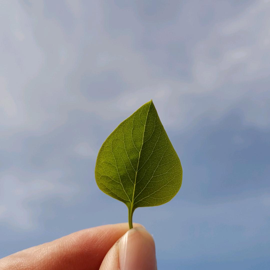 春暖花开