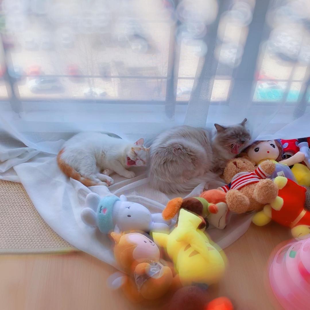 二朗神圣诞跳一跳