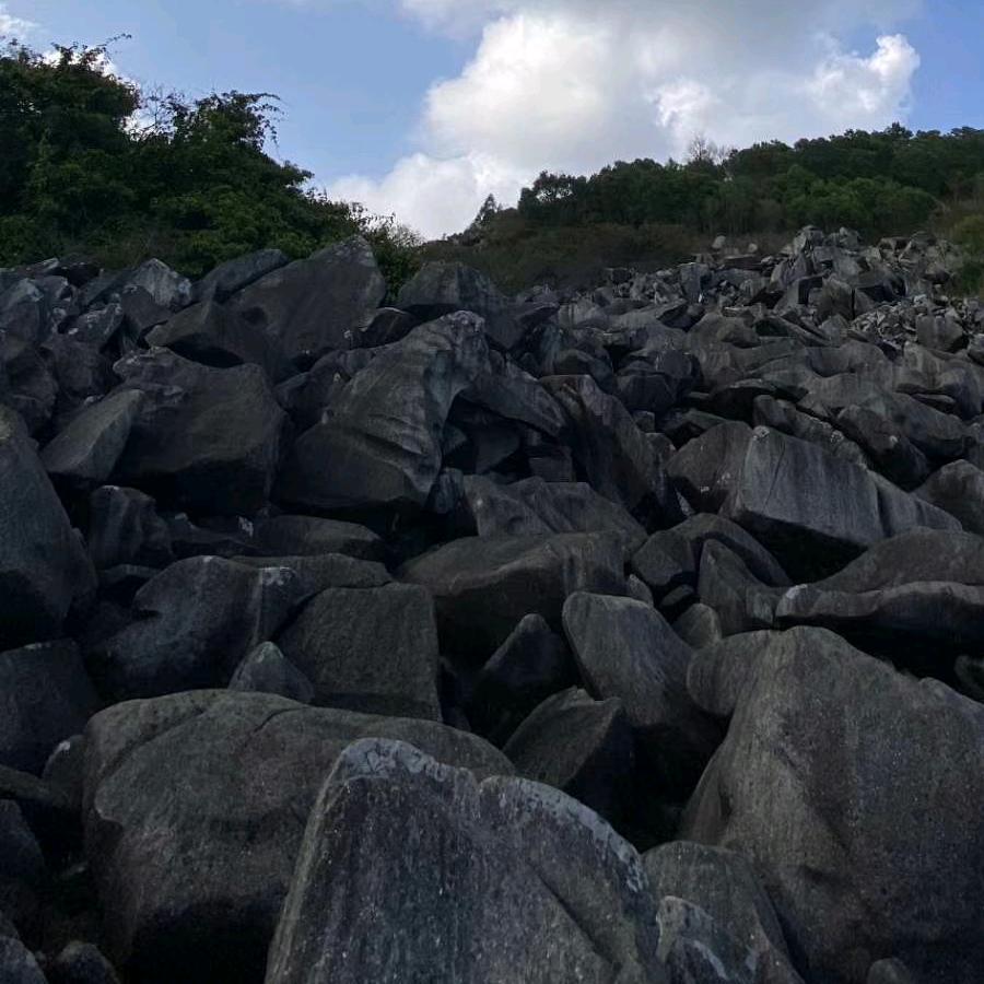 鸿