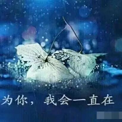 用户538034094940飘雪