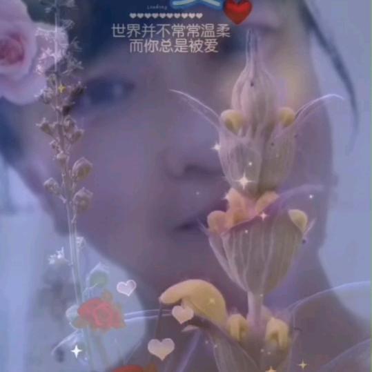 小鱼儿🐠手势舞